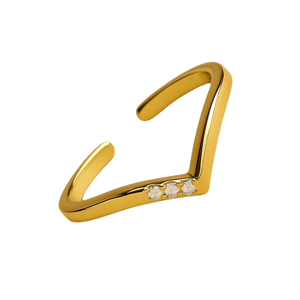 Anillo Corona Delgado